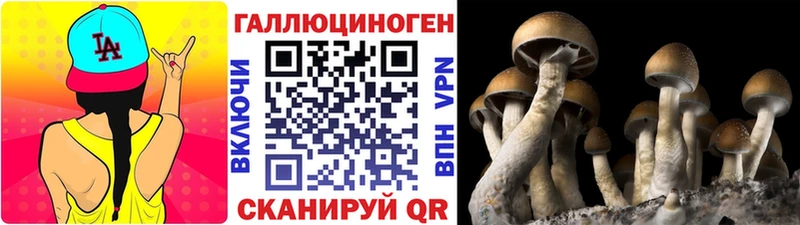 Галлюциногенные грибы MAGIC MUSHROOMS  Кола 