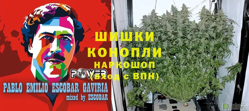 Шишки марихуана LSD WEED  Кола 